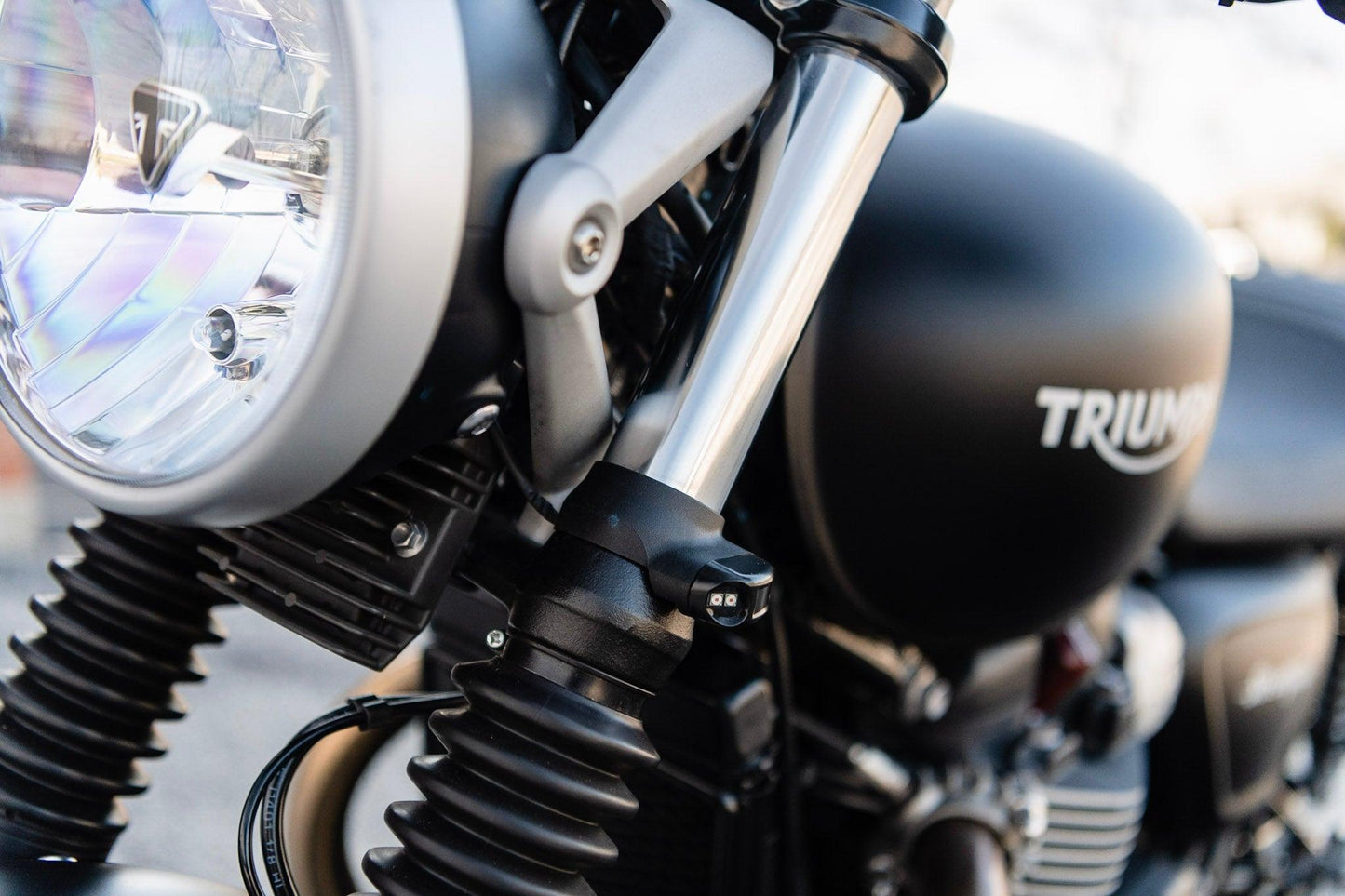 Analog LED Indicators for Triumph Street Twin - My Superbike Store