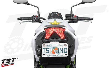 TST Tail Light for Kawasaki Z650 - My Superbike Store