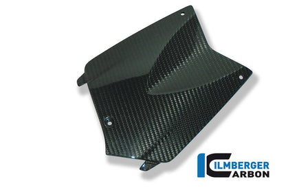 Ilmberger Carbon Fibre Battery Cover for BMW K1300R 2008-22 - My Superbike Store