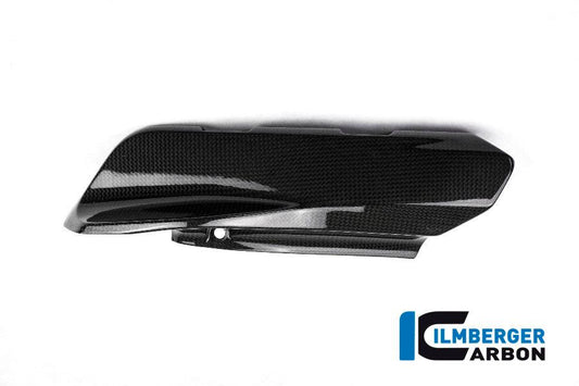 Ilmberger Carbon Fibre Left Cover Under The Frame For Ducati Monster 821 - My Superbike Store