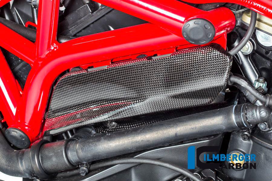 Ilmberger Carbon Fibre Left Cover Under The Frame For Ducati Monster 821 - My Superbike Store